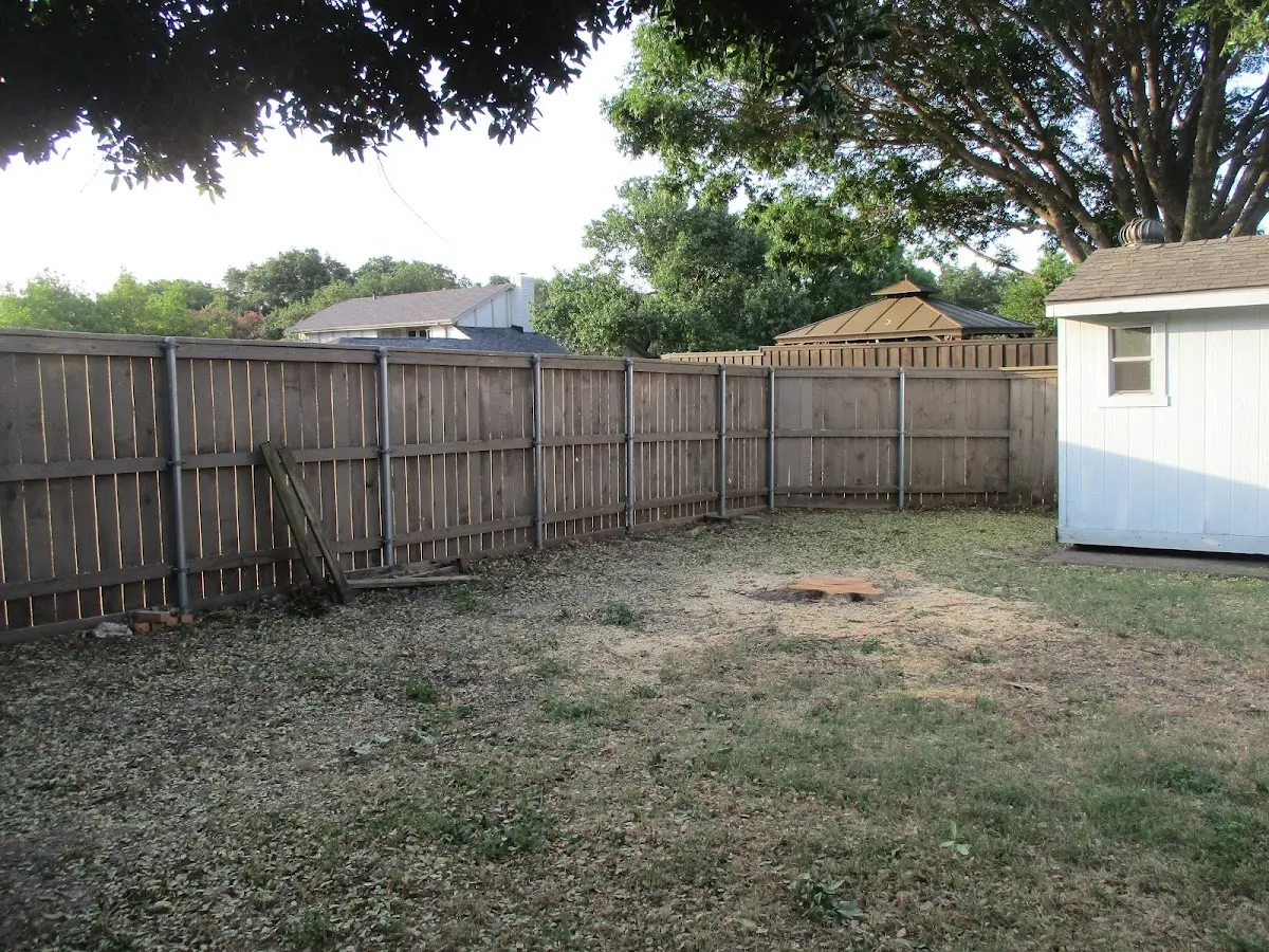 Cleared yard after professional tree removal in La Grande