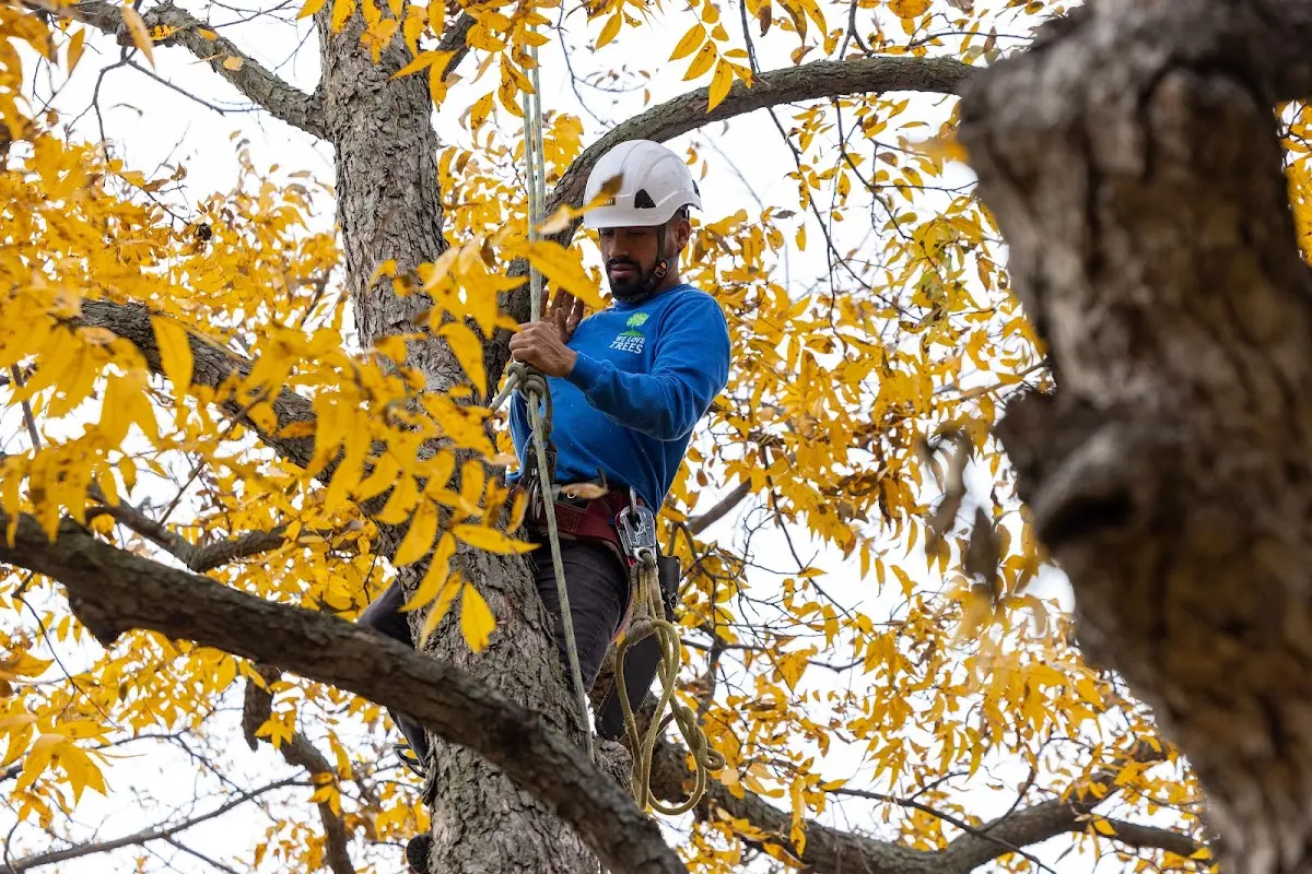 Skilled Storm Damage Cleanup crew working in La Grande